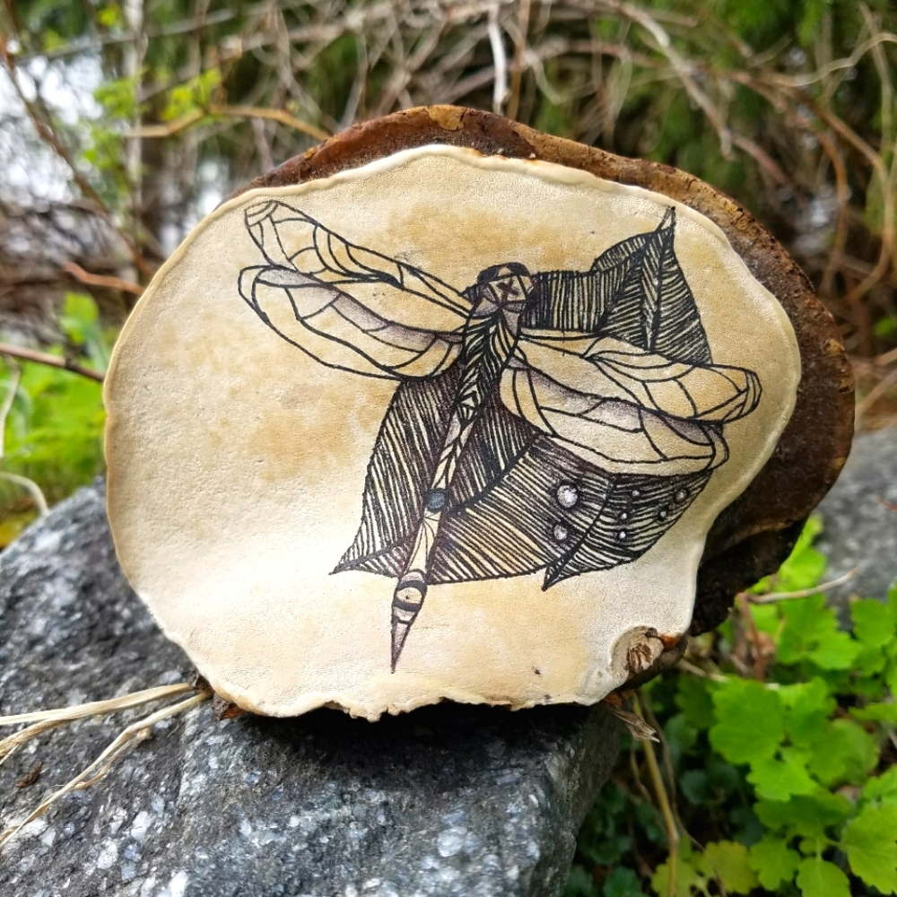 Stained Glass Dragon - hand drawn on bracket fungus